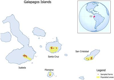 Undetection of vector-borne viruses in equids of Galapagos Islands